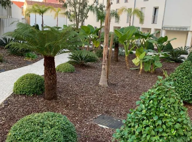 Les Pieds Dans L'eau Du Trottel Apartment Ajaccio (Corsica)